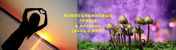 круглые Армянск